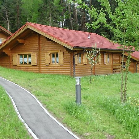 Blockhaus Bayerischer Wald Stamsried Exterior foto