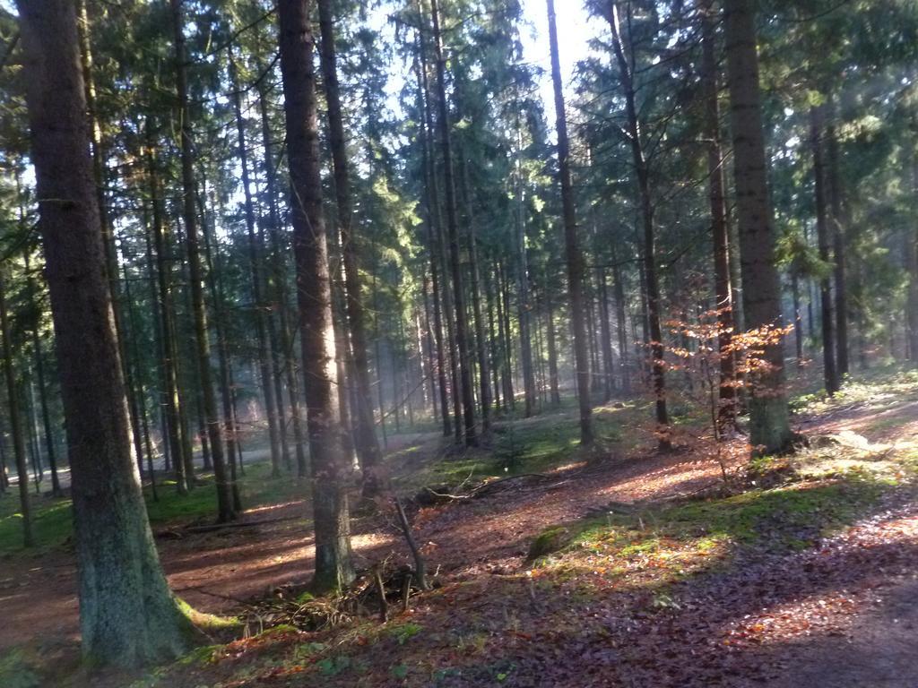 Blockhaus Bayerischer Wald Stamsried Exterior foto